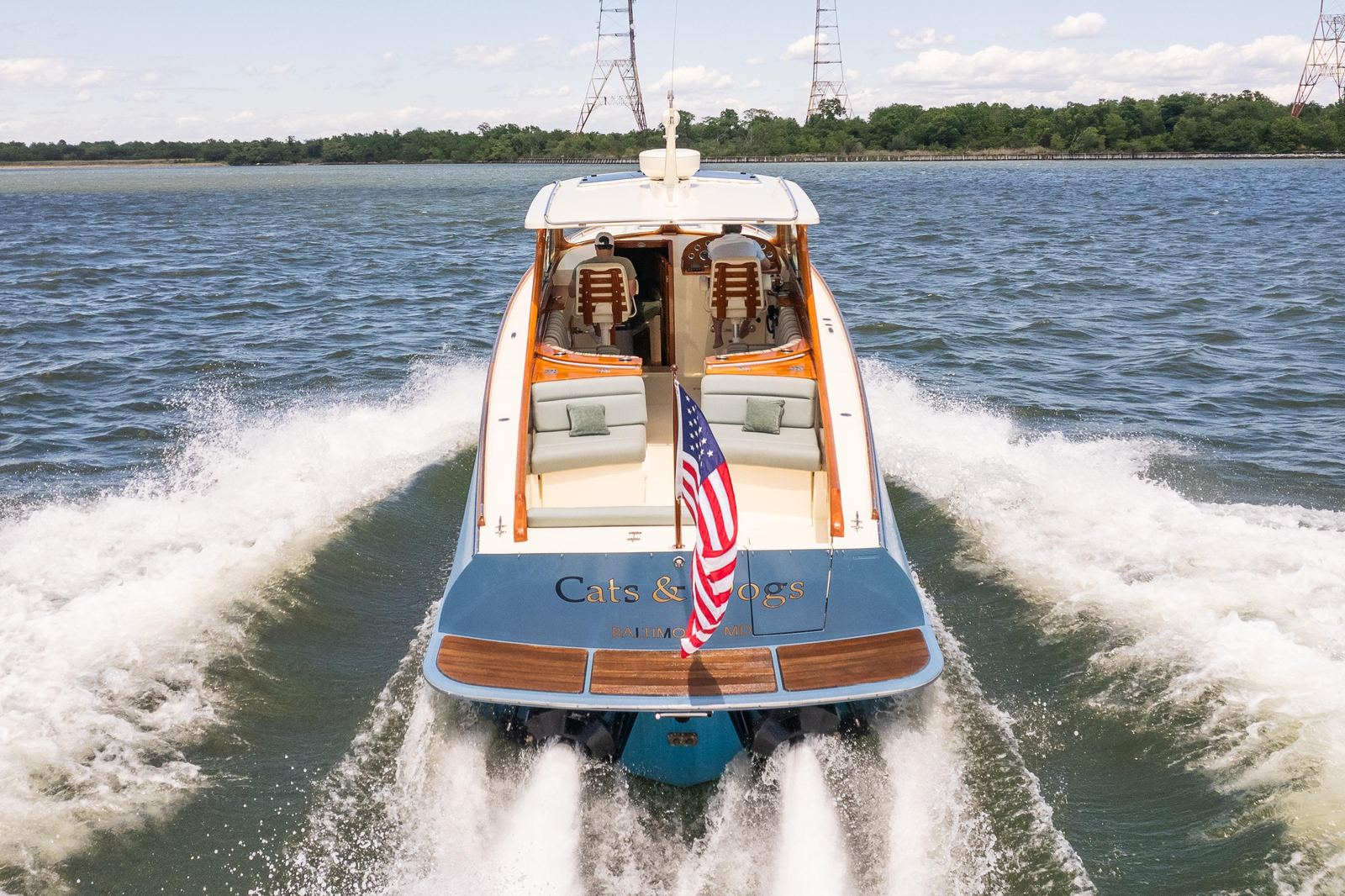 2013 Hinckley Talaria 34 CATS & DOGS — photo 7